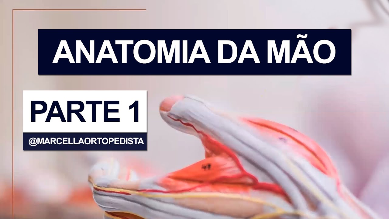 Aula de anatomia da mão - parte 1