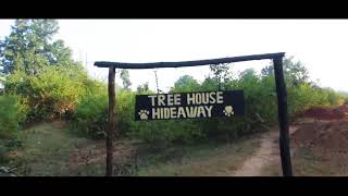 preview picture of video 'Tree House Hideaway : Hotel in Bandhavgarh National Park, Madhya Pradesh'