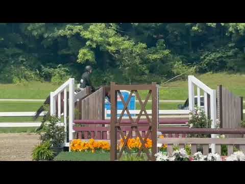 Nithard VW video 2