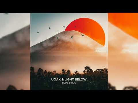 UOAK & Light Below - Blue Birds
