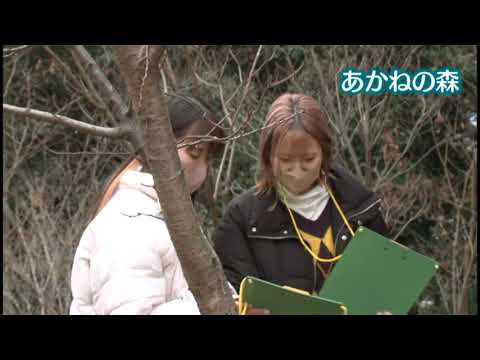 看護学科 フィールドビンゴの作成と活用