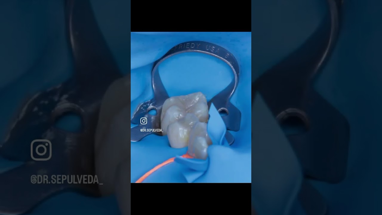 Javier Rodriguez Sepulveda-17