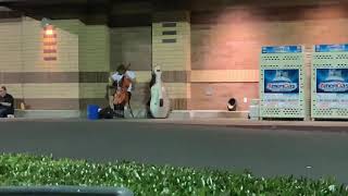 Amazing cellist outside Safeway in St. John’s