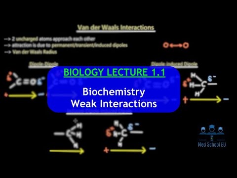 IMAT Biology Lesson 1.1 | Biochemistry | Weak Interactions