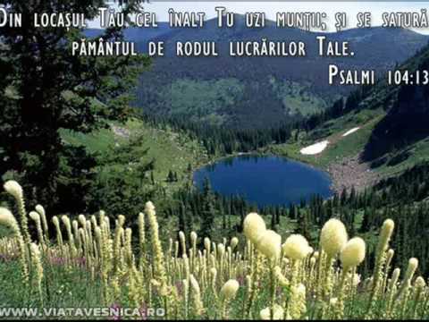 GRUPUL ELIEZER-  SIMONE, SIMONE...