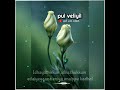 Then Poove Poove Anbulla Rajinikanth SPB S Janaki