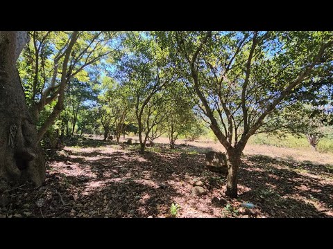  Se vende terreno en canton platanares  suchitoto departamento de cuscatlan