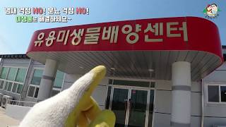 [개별영상] 냄새 걱정 NO! 분뇨 걱정 NO! 미생물로 해결하세요~(No smell and Feces Wo…