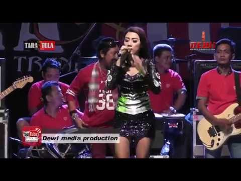 ACUH TAK ACUH   Nuning Falenc NEW TARANTULA