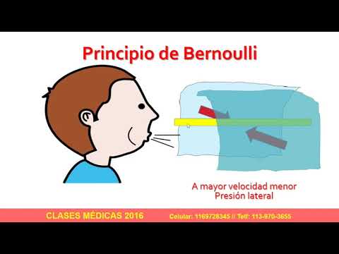 Circulación y presión: Ley de Bernoulli en medicina 💡 | Fisiología cardiovascular"