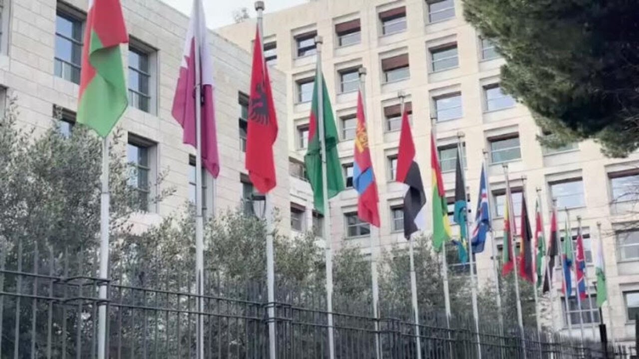 Fao e Coldiretti celebrano l'anno internazionale della pastorizia e della donna in agricoltura