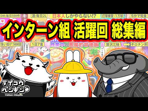 youtube-社会・政治・ビジネス記事2026/02/13 19:00:00