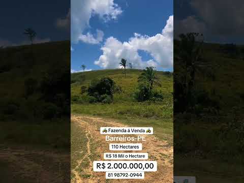 Fazenda á venda na cidade de Barreiros-PE  110 Hectares R$ 2.000.000,00  81 98792-0944