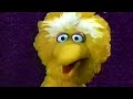 Pbs New Episode Promo 1998