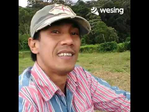 Mengapa Baru Kini Kau Sadari