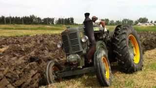 preview picture of video 'Aratura con trattori d'epoca alla Fiera di merci e bestiame a Poggio Renatico 2013'