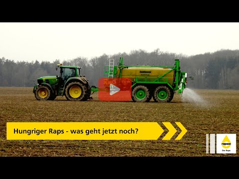 Hungriger Raps - was geht jetzt noch?
