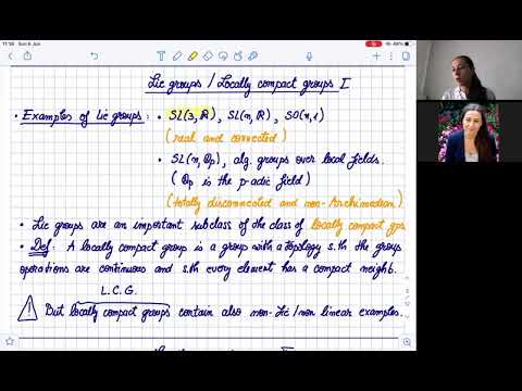 Homogeneous dynamics and related topics (Part 1: Introduction)