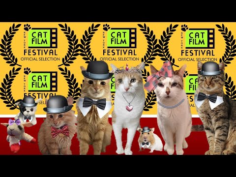 CATS EYE WITNESS NEWS - 6TH ANNUAL NEW YORK CAT FILM FESTIVAL