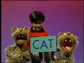 Sesame Street Show 2805 Chip And Dip CAT 1991