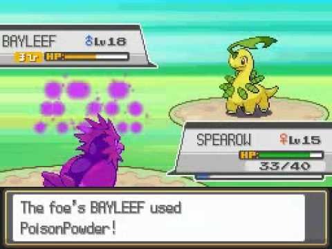 Pokemon Heart Gold Walkthrough Part 9