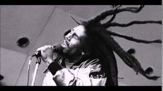 Bob Marley &amp; The Wailers - Roots Rock Reggae (dub version) HQ