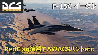 【DCS】初心者によるF-15C Red Flag CampaignでAWACSハント