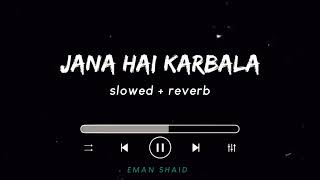 Jana Hai Karbala  Ali Shanawar  Slowed + Reverb