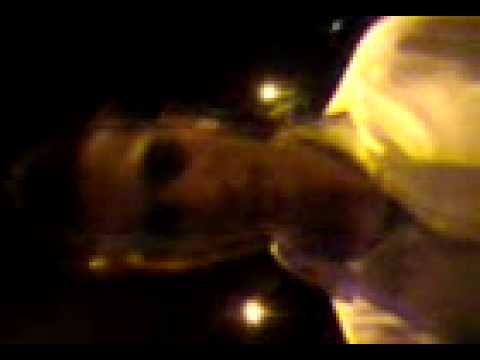 BROWNERZ TV Ferro Giant BBN Fam