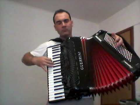 Rodjendansko kolo ( Aca Stepic )- svira Dalibor Radinkovic