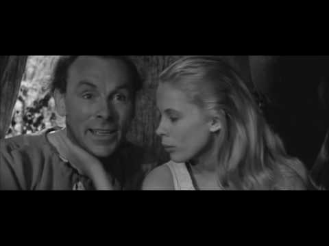 Loża Masorza and DomiX