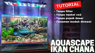 Membuat Aquascape Versi murah untuk ikan chana