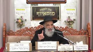 הרב מאיר שמואלי | פרשת ויחי | מוסאיוף