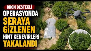 Dron Destekli Operasyonda Seraya Gizlenen Hint Kenevirleri Yakalandı