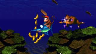 Donkey Kong Country (SNES)