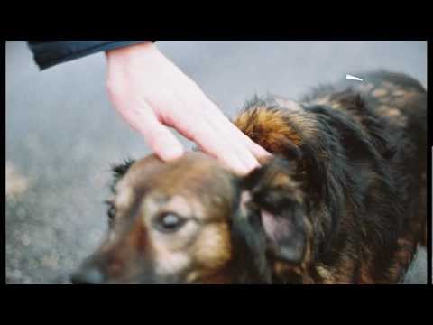 Christopher Scullion - why would you do that