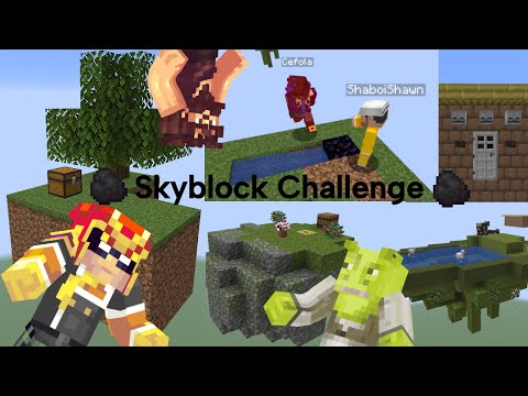  Skyblock Challenge 