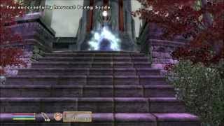 Let's Play Oblivion Part 82 - The Betrayer of New Friends Feat. Lymanity