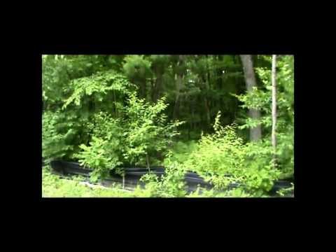 Beautiful New Town Homes - Berlin, Massachusetts