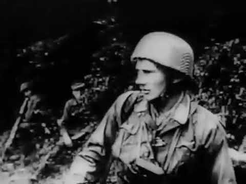 Battle of Alsace November 1944-March 1945