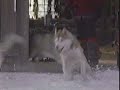2002 Snow Dogs Video Commercial