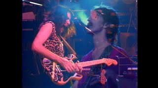 Frank Zappa - Stevie&#39;s Spanking (The Torture Never Stops, The Palladium, NYC 1981)