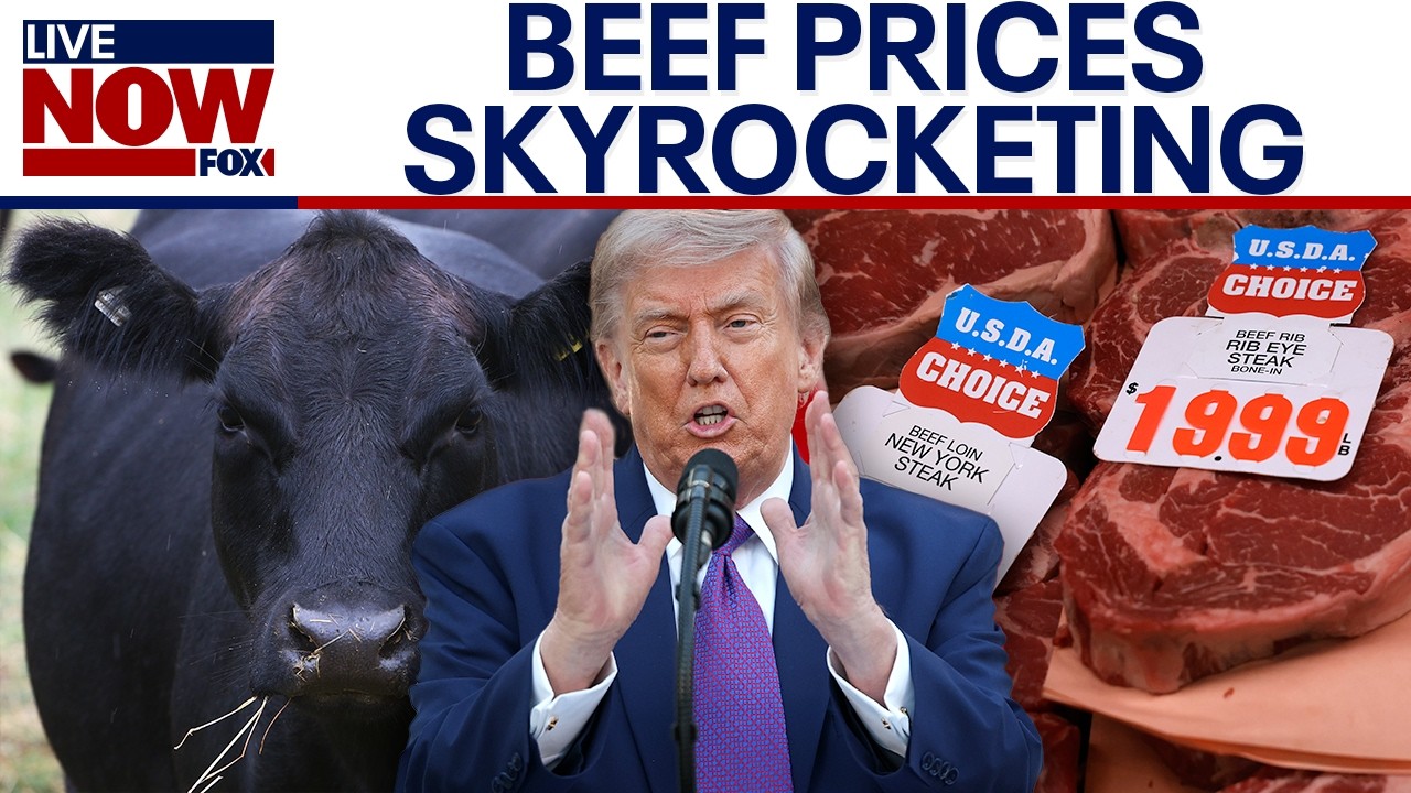 Trump admin grilled over beef prices as costs skyrocket