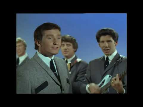 The Tremeloes   Someone Someone
