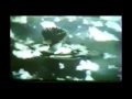 The Ultimate WTF Boom Montage 1