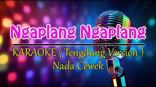 Download lagu NGAPLANG NGAPLANG @EMEK ARYANTO ( KARAOKE CEWEK ) mp3