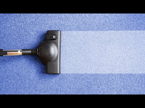 5 Best Carpet Cleaners You Can Buy In 2021 (Buying Guides)