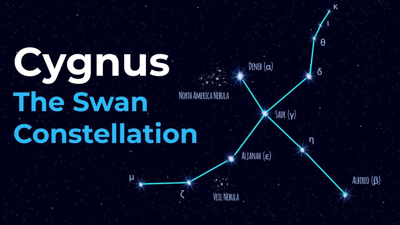 NEW How to Find Cygnus the Swan Constellation