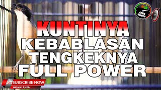 Download lagu TENGKEK FULL POWER KUNTINYA KEBABLASAN, CENDET GACOR FULL ISIAN TEMBAKAN TAJAM BAIK UNTUK MASTERAN mp3