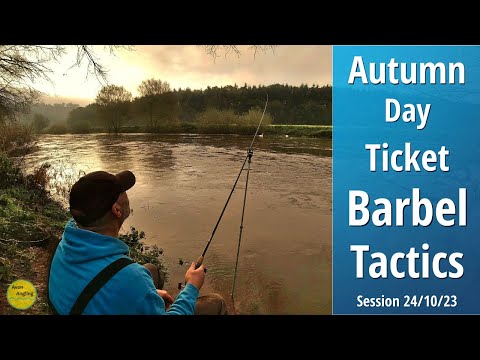Day Ticket River Wye Barbel Fishing - Autumn Approach & Tactics - 24/10/23 (Video 445)